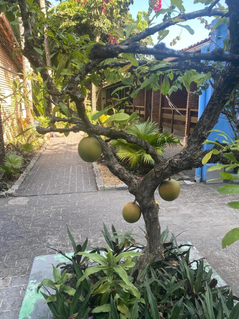 Pousada Aconchego Marechal Deodoro Exterior foto